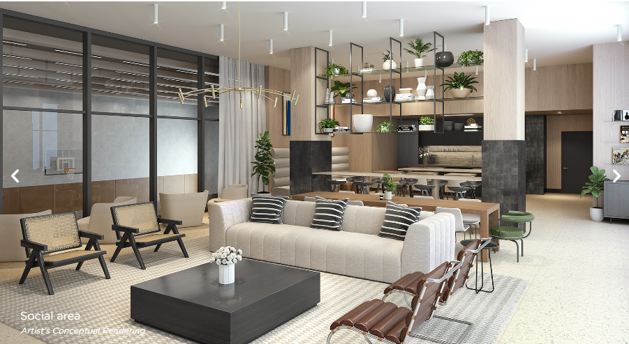Social area — open entertaining space with premium finishes